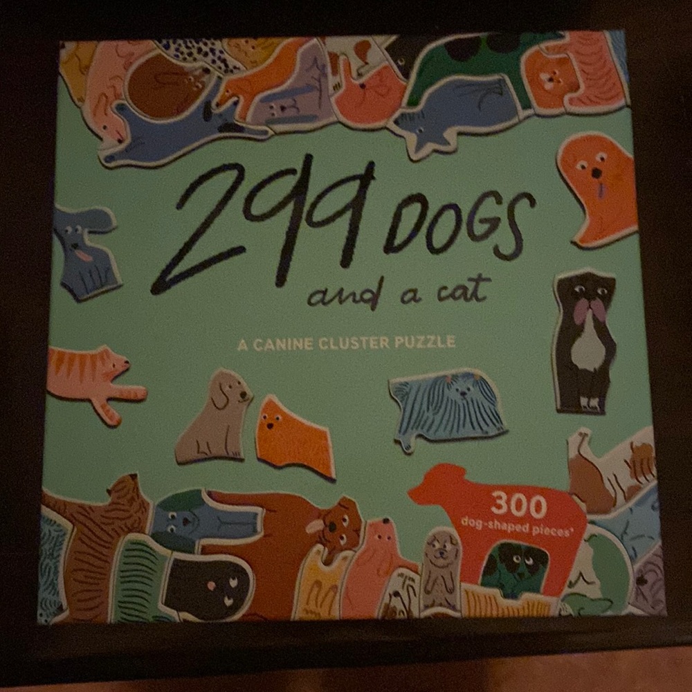 300 piece puzzle